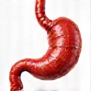 Icon for Digestive Health
